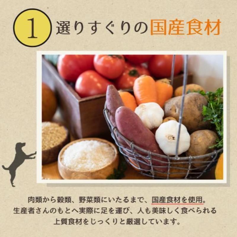 【定期便12か月】愛犬ごはん【ひとつごはん】うまぽてと500g 250g×2