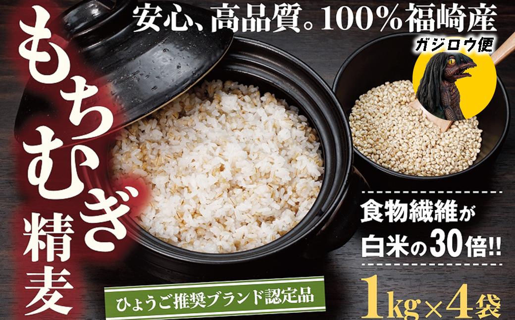 ガジロウ便 【関東・中部・近畿・中国・四国】 もちむぎ精麦 4kg もち麦