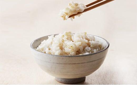 ガジロウ便 【北海道・東北・九州】 もちむぎ精麦 4kg もち麦