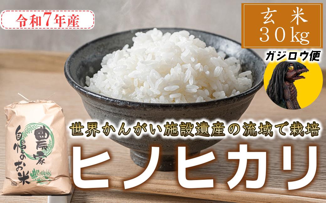 ガジロウ便 【北海道・東北・九州】 玄米 30kg 令和7年産 ヒノヒカリ 八千種米 お米 30kg ごはん 兵庫県産 世界かんがい施設遺産登録『西光寺野疏水路』