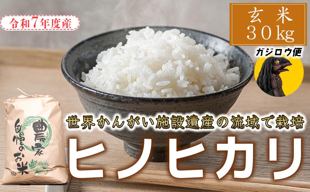 ガジロウ便 【北海道・東北・九州】 玄米 30kg 令和7年度産 ヒノヒカリ 八千種米 お米 30kg ごはん 兵庫県産 世界かんがい施設遺産登録『西光寺野疏水路』