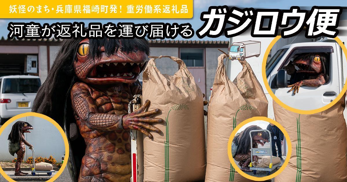 ガジロウ便 【北海道・東北・九州】 玄米 30kg 令和7年産 ヒノヒカリ 八千種米 お米 30kg ごはん 兵庫県産 世界かんがい施設遺産登録『西光寺野疏水路』