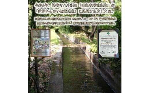 ガジロウ便 【北海道・東北・九州】 玄米 30kg 令和7年産 ヒノヒカリ 八千種米 お米 30kg ごはん 兵庫県産 世界かんがい施設遺産登録『西光寺野疏水路』