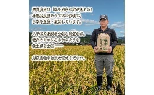 【 精米 】 【 最短 翌日発送 】令和7年産 ヒノヒカリ 八千種米 お米 30kg ごはん 兵庫県産 世界かんがい施設遺産登録『西光寺野疏水路』
