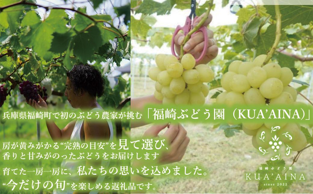 ãå
µåº«ççŠåŽç£ããçŠåŽããçŠå²ãã ææ¡ã ãå®¶åºçš ã·ã£ã€ã³ãã¹ã«ãã ïŒkg è©°ãåããã»ãã çŠåŽã¶ã©ãå ïŒæäžæ¬ããé æ¬¡çºé ã¶ã©ã æ°ééå®