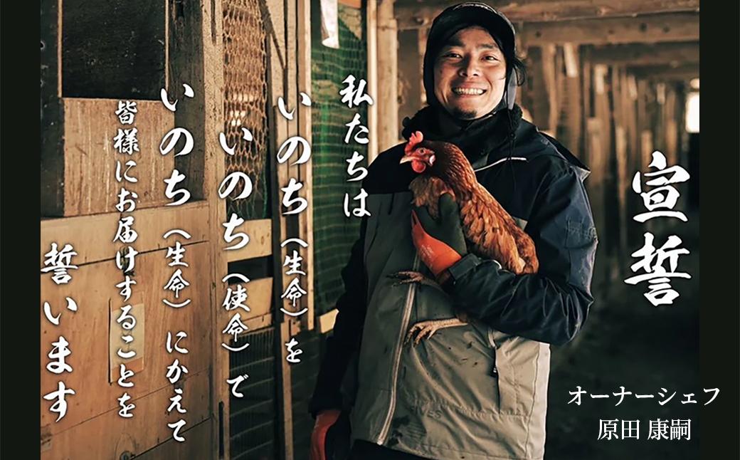 鯛らーめん　鯛の夢 潮 (あさしお) / 塩味4食セット 無添加スープ 宇和島 真鯛 ラーメン 鯛一郎クン 黄金スープ 魚臭くない 究極の一杯