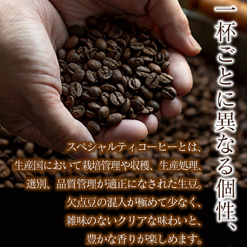 繧ケ繝壹す繝」繝ェ繝繧」繧ウ繝シ繝偵シ隧ー繧∝粋繧上○繧サ繝繝茨シ医ヱ繝翫槭ご繧、繧キ繝」100gシ九せ繝壹す繝」繝ェ繝繧」繝悶Ξ繝ウ繝200gシ峨千イ峨