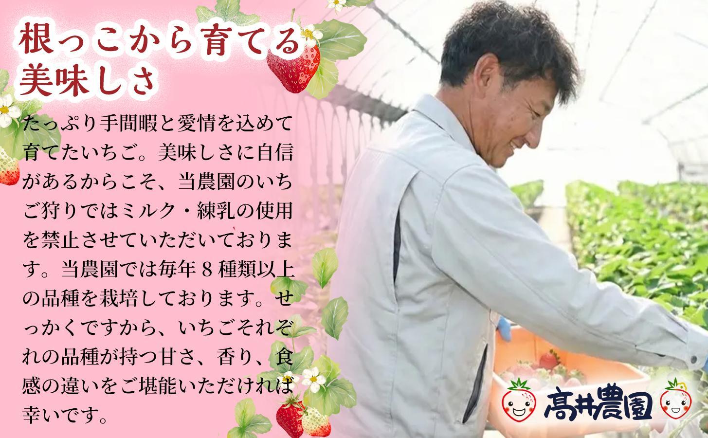 【甘さと爽やかさの贅沢セット】いちごミルクアイス＆いちごシャーベット 各15個 計30個 いちご イチゴ アイス シャーベット 果物 フルーツ 大粒 濃厚 産地直送 詰め合わせ ギフト 贈答用 兵庫県 福崎町