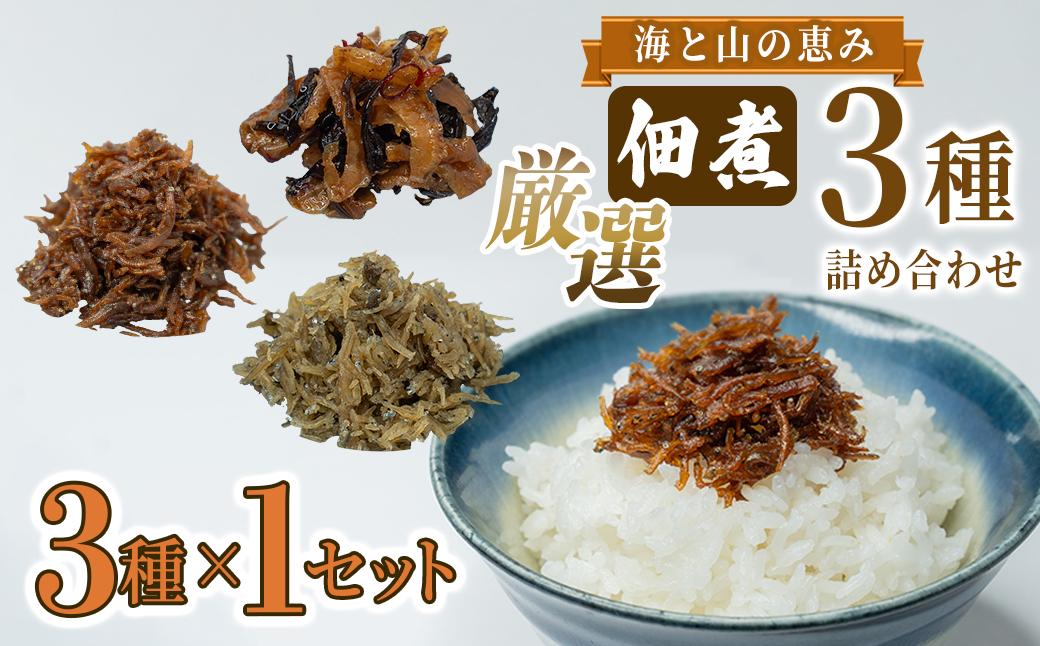 厳選佃煮3種セット 海と山の恵み (計3袋) 【国内産シラスのくぎ煮 65g ほたて貝ひもとキクラゲ 80g 生炊きちりめん山椒 90g】 しらす ほたて 貝ひも キクラゲ ちりめん山椒 ごはんのお供 お酒のおつまみ 小分け