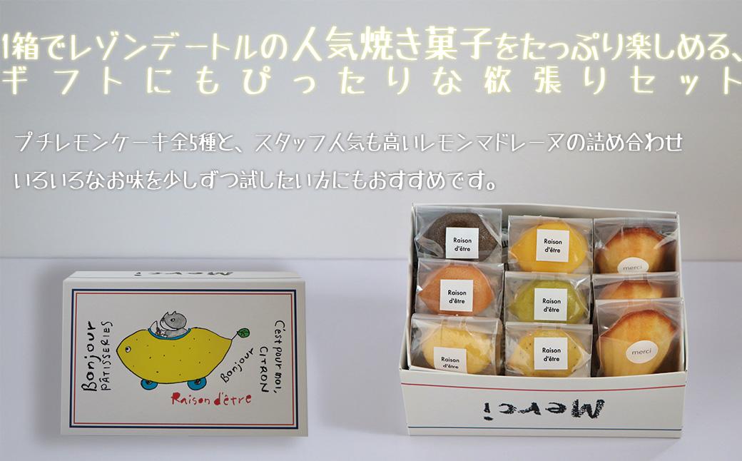 プチレモンケーキ5種6個＆レモンマドレーヌ3個 9個入り詰め合わせセット レモンケーキ マドレーヌ 焼き菓子 洋菓子 スイーツ 詰め合わせ セット アソート 個包装 ギフト
