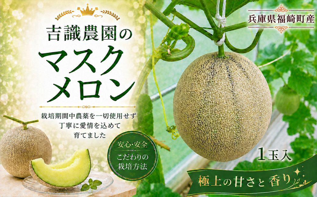 マスクメロン「パノン」1玉 農薬不使用栽培 贈答用 化粧箱入り