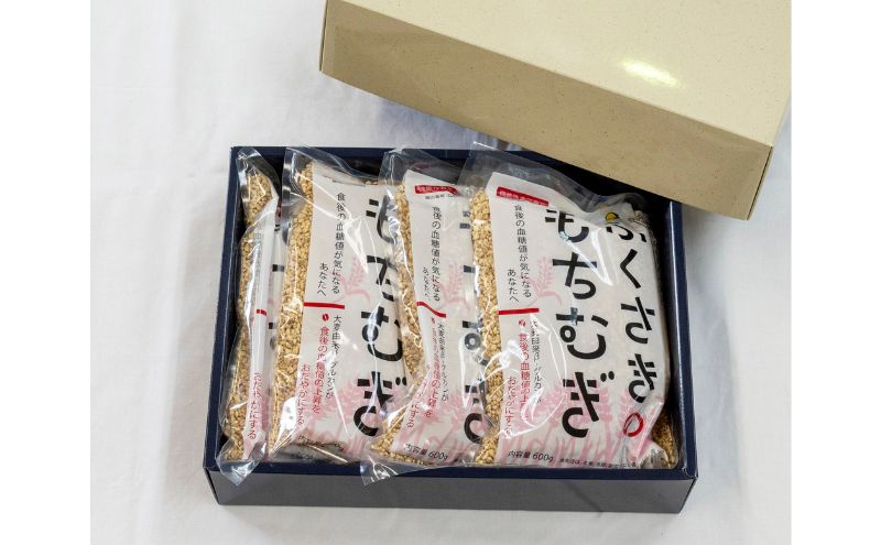 もちむぎ精麦2.4kg（600g×4袋）小分け もちむぎ 雑穀 五つ星ひょうご選定商品