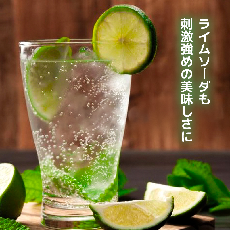 轤ュ驟ク豌エ 螳壽悄萓ソ 豈取怦 12蝗 500mlテ24譛ャ 繧ス繝シ繝