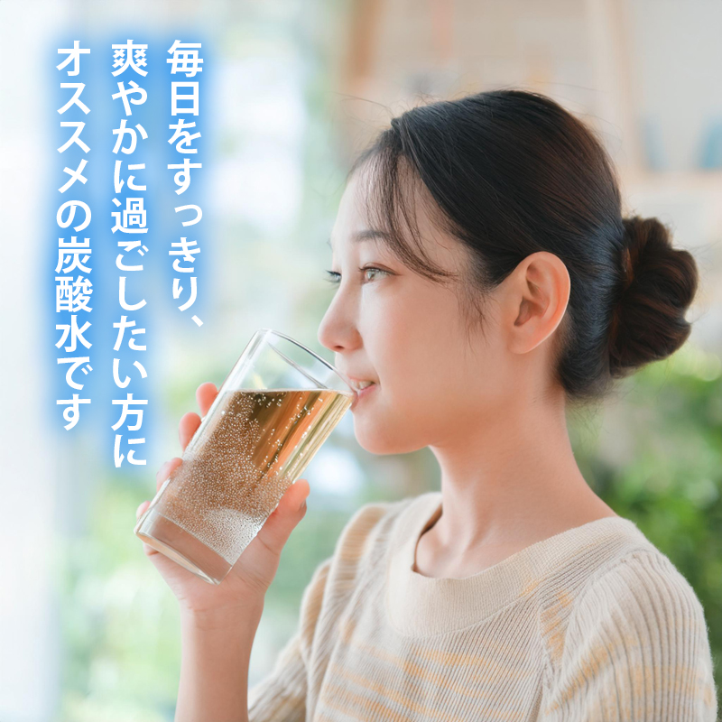 轤ュ驟ク豌エ 螳壽悄萓ソ 豈取怦 12蝗 500mlテ24譛ャ 繧ス繝シ繝