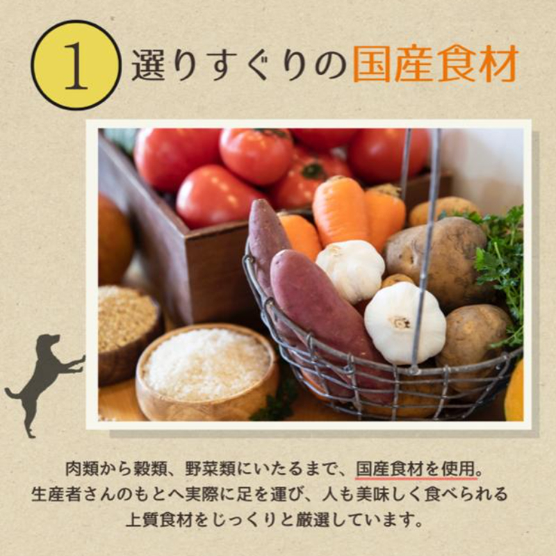 愛犬ごはん【ひとつごはん】うまぽてとオリジナルブレンド500g 無添加 馬肉 厳選素材 ドッグフード