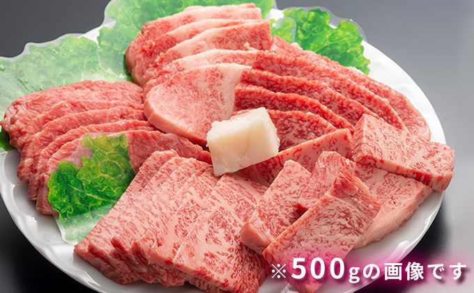  但馬牛 焼肉 5種 食べ比べ 計1,000g[ 牛肉 お肉 ブランド牛 焼き肉 キャンプ BBQ アウトドア バーベキュー 霜降り 赤身 ギフト 母の日 父の日 ]