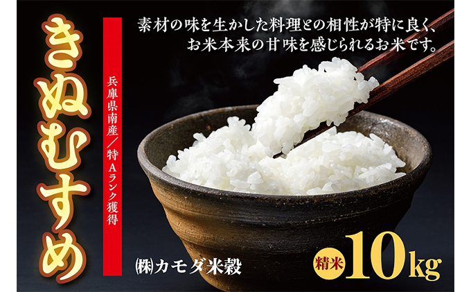 米 令和6年産 兵庫県南産 きぬむすめ 10kg [ お米 白米 精米 おこめ コメ ]