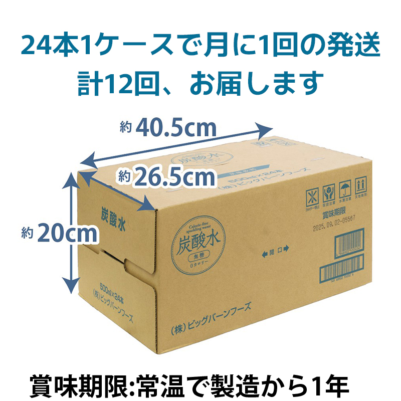 轤ュ驟ク豌エ 螳壽悄萓ソ 豈取怦 12蝗 500mlテ24譛ャ 繧ス繝シ繝