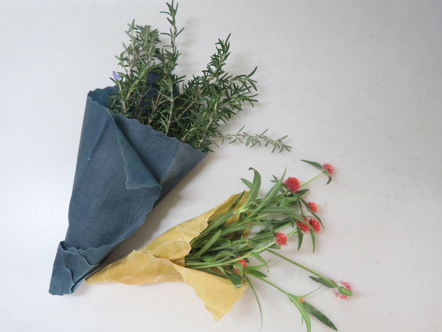 èæèæšæãšã³ã©ãã3æã»ããïŒSïŒMïŒL) èæã»ãã