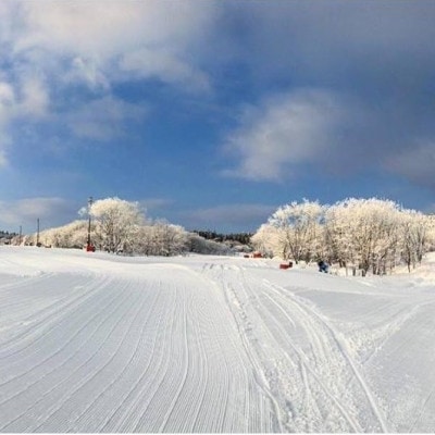 〈峰山高原リゾートホワイトピーク〉スキー場1日リフト券　5枚【1363858】