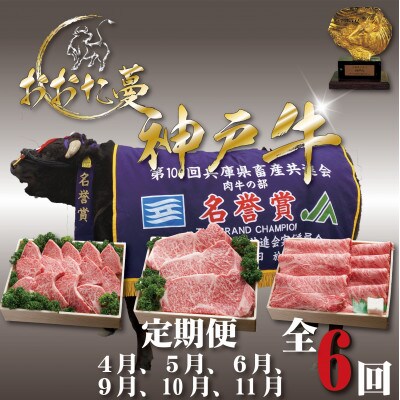 【発送月固定定期便】A5 おおた蔓 神戸牛(神戸ビーフ)　それは選ばれし希少な一頭全6回【配送不可地域：離島】【4067237】