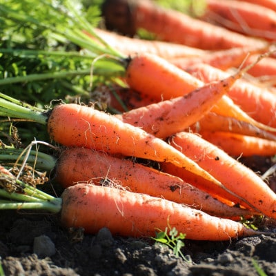 【神河町産京くれない】にんじんミックスジュース 200ml×20本【1322621】