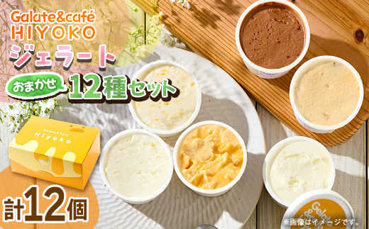 【兵庫県神河町発】ジェラート【おまかせ】詰め合わせ　90ml×12個【配送不可地域：離島】【1671497】