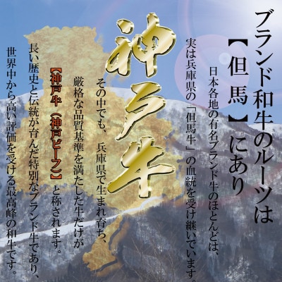 神戸牛 ロースステーキ 250g×2枚 計500g KKWST5 【2026年4月より順次発送】【配送不可地域：離島】【1683049】