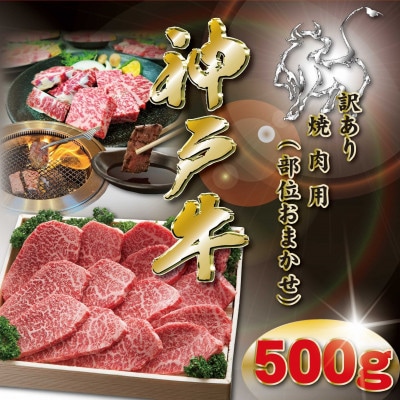 神戸牛 焼肉用 かた・もも 500g KKWY2 【2026年4月より順次発送】【配送不可地域：離島】【1682980】