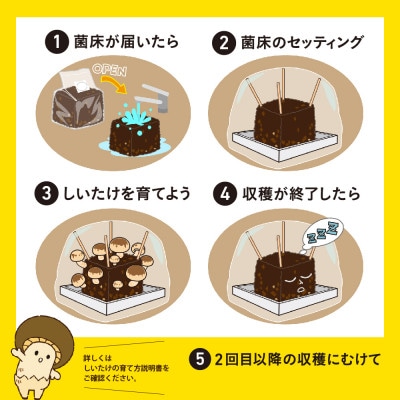 神河しいたけ栽培キット(しいたけ菌床)1個と乾しいたけセット　※5月〜10月順次発送【配送不可地域：離島】【1411537】