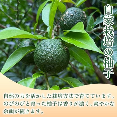 【ひとさじで料理が引き締まる】柚子胡椒(瓶)50g ×2本 1セット【1736710】