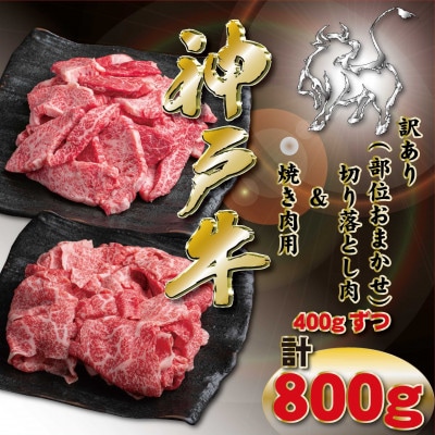 訳あり 神戸牛 切り落とし肉・焼肉用 計800g KKWSY2 【2026年4月より順次発送】【配送不可地域：離島】【1682974】