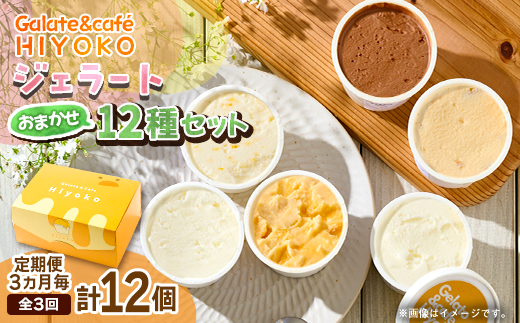 【3ヵ月毎定期便】【兵庫県神河町発】ジェラート【おまかせ】詰め合わせ　90ml×12個全3回【配送不可地域：離島】【4076182】