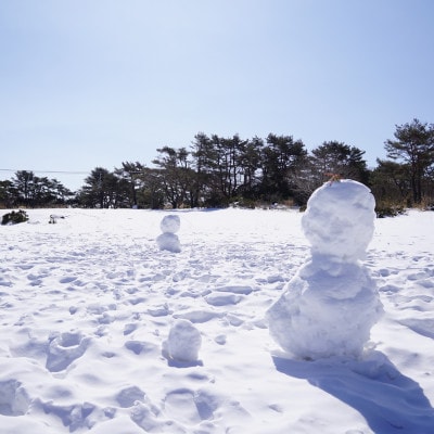 ＜峰山高原リゾートホワイトピーク＞　スキー場1日リフト券　4枚【1029969】