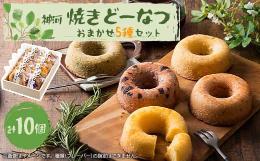 神河 焼きどーなつ おまかせ5種/10個セット【1353597】