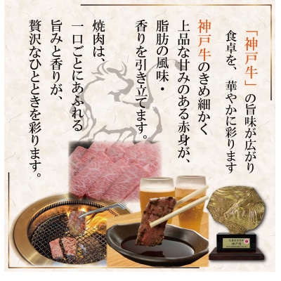 神戸牛 焼肉用 かた・もも 500g KKWY2 【2026年4月より順次発送】【配送不可地域：離島】【1682980】