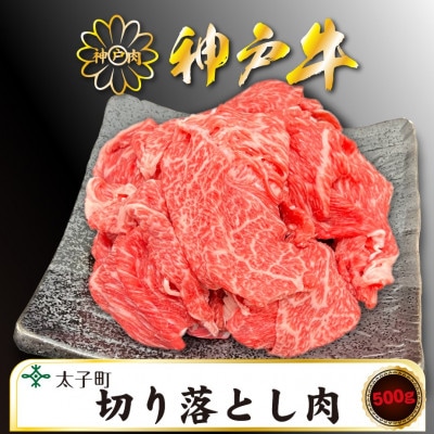 訳あり神戸牛　TSS1　切り落とし肉　500g【配送不可地域：離島】【1509904】