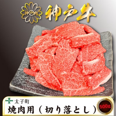 訳あり神戸牛　TSY1　焼肉用(切り落とし)　500g【配送不可地域：離島】【1509911】