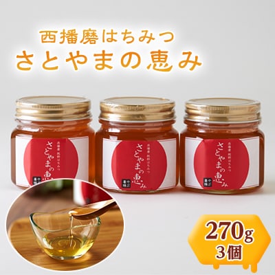 西播磨はちみつ　さとやまの恵み　270g×3本セット【1243961】