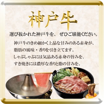 神戸牛 すき焼き・切り落とし肉セット 計900g TSS3 【2026年4月より順次発送】【配送不可地域：離島】【1682631】