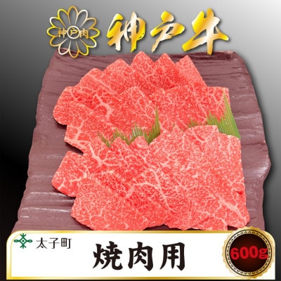 神戸牛　TSY2　焼肉用　600g【配送不可地域：離島】【1509909】