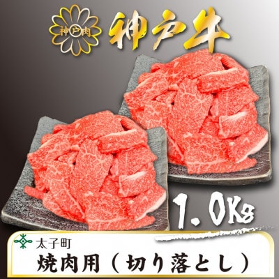 訳あり神戸牛　TSY2S　焼肉用(切り落とし)　500g×2【配送不可地域：離島】【1509919】