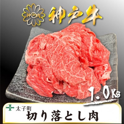 訳あり神戸牛　TSS2S　切り落とし肉　500g×2【配送不可地域：離島】【1509906】