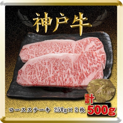 神戸牛 ロースステーキ 250g×2枚 計500g TSST5 【2026年4月より順次発送】【配送不可地域：離島】【1682634】