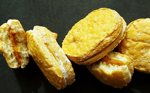 ダックワーズ　24個入り【配送不可地域：離島】【1494687】