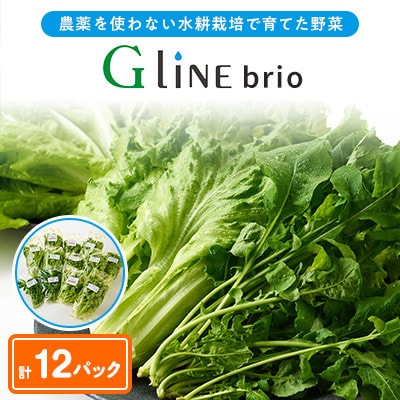 【毎月定期便】G Line brio レタス12パックセット全3回【配送不可地域：離島】【4056843】