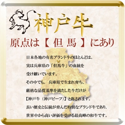神戸牛 焼肉用セット 計1Kg TSYS5 【2026年4月より順次発送】【配送不可地域：離島】【1682638】