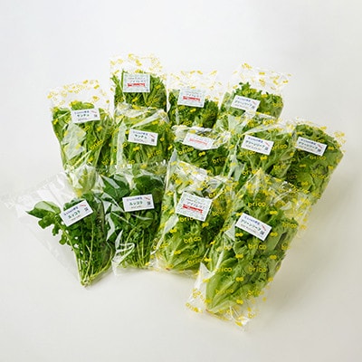 縲先ッ取怦螳壽悄萓ソ縲賎 Line brio 繝ャ繧ソ繧ケ12繝代ャ繧ッ繧サ繝繝亥ィ3蝗槭宣埼∽ク榊庄蝨ー蝓滂シ夐屬蟲カ縲代4056843縲