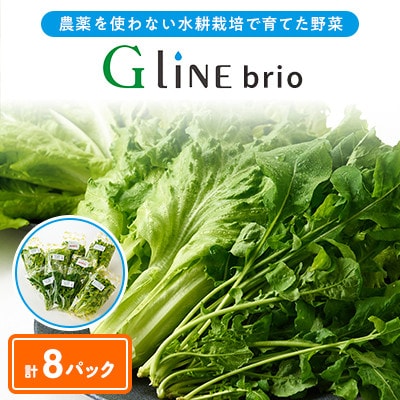 【毎月定期便】G Line brio レタス8パックセット全2回【配送不可地域：離島】【4056835】