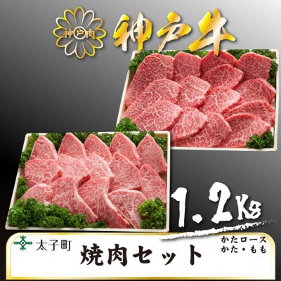 神戸牛　TSYS5　焼肉用セット　合計　1200g【配送不可地域：離島】【1509934】